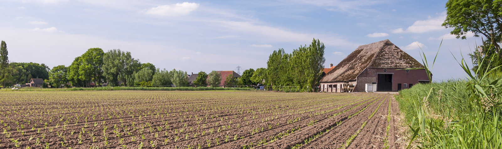 Giftige Erde | Ein Ostfrieslandkrimi
